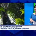 Video: Jerman-Negeri Fir'aun Borong Kelapa RI, Potensinya Sebesar Ini