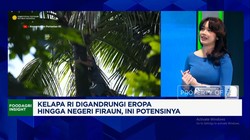 Video: Jerman-Negeri Fir'aun Borong Kelapa RI, Potensinya Sebesar Ini