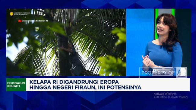 Video: Jerman-Negeri Fir'aun Borong Kelapa RI, Potensinya Sebesar Ini