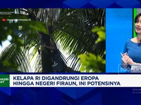 Video: Jerman-Negeri Fir'aun Borong Kelapa RI, Potensinya Sebesar Ini
