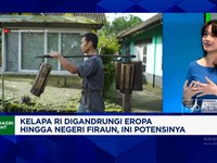 Video: Kelapa RI Jadi Rebutan Warga Lokal-Bule, Tapi Masih Ada Masalah