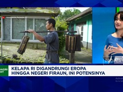 Video: Kelapa RI Jadi Rebutan Warga Lokal-Bule, Tapi Masih Ada Masalah