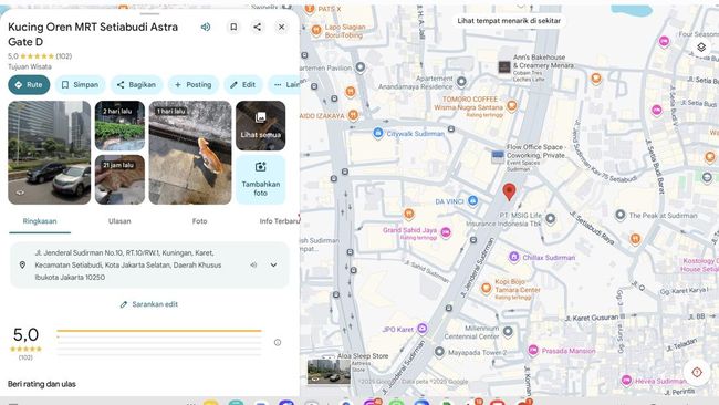 Kucing Oren Viral Muncul di Google Maps, Banjir Review Netizen