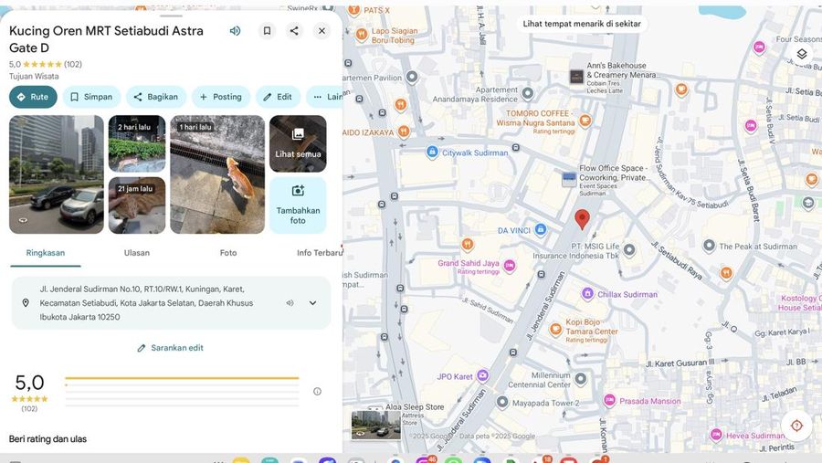 Tangkapan layar Google Maps yang menandai lokasi kucing oren