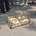 Bibit Ayam Lagi Langka-Harganya di Luar Nalar, Peternak Teriak