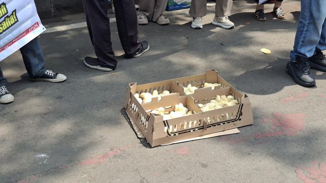 Bibit Ayam Lagi Langka-Harganya di Luar Nalar, Peternak Teriak