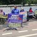 Harga Ayam di Pasar Meledak, Tapi Peternak Malah Menjerit, Ada Apa?