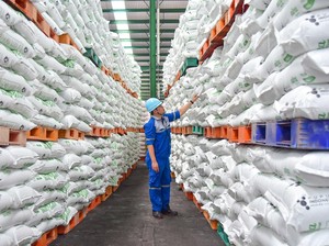 Pusri Dukung Penurunan Harga Pupuk Bersubsidi Sesuai Kebijakan Pemerintah