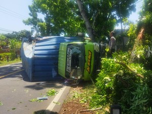 Truk Boks Hantam Pohon di Jalan Denpasar-Gilimanuk gegara Sopir Mengantuk