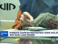 Video: Purbaya Siapkan Strategi Tarik Dolar WNI dari Luar Negeri