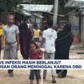 Video: Wabah DBD di Bangladesh Melonjak