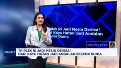 Video: Triplek RI Jadi Mesin Devisa! Dari Hutan-Andalan Ekspor Dunia