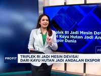 Video: Triplek RI Jadi Mesin Devisa! Dari Hutan-Andalan Ekspor Dunia