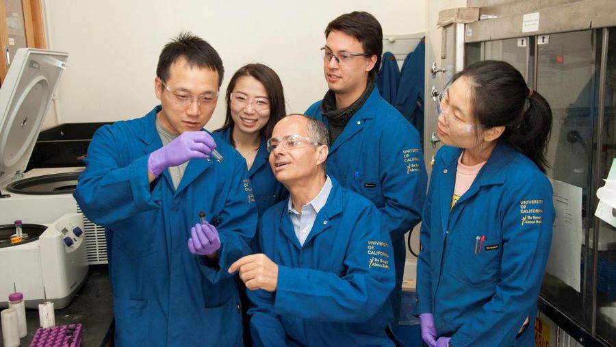 NOBEL-PRIZE/CHEMISTRY UC Berkeley chemistry professor Omar Yaghi poses in his lab at the University of California, Berkeley in Berkeley, California, U.S., in an undated photograph. Yaghi won the 2025 Nobel Prize in Chemistry, alongside Richard Robson of the University of Melbourne and Susumu Kitagawa of Kyoto University, on October 8, 2025. Brittany Hosea-Small/UC Berkeley/Handout via REUTERS. NO RESALES. NO ARCHIVES. THIS IMAGE HAS BEEN SUPPLIED BY A THIRD PARTY