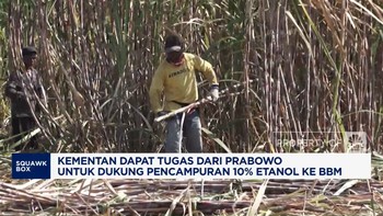 Video: Prabowo Tugaskan Kementan Dukung Pencampuran 10% Etanol ke BBM