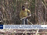 Video: Prabowo Tugaskan Kementan Dukung Pencampuran 10% Etanol ke BBM