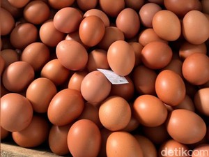 RI Ekspor Telur-Daging Ayam Rp 18,2 Miliar