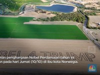 Video: Inilah Penampakan Ladang Bertulisan 'Nobel 4 Trump'
