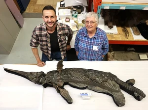 Kerangka Dinosaurus Pedang Naga Ditemukan di Pantai Jurassic