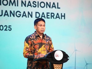 Wamendagri Tekankan Peran TPAKD untuk Inklusi Keuangan Daerah