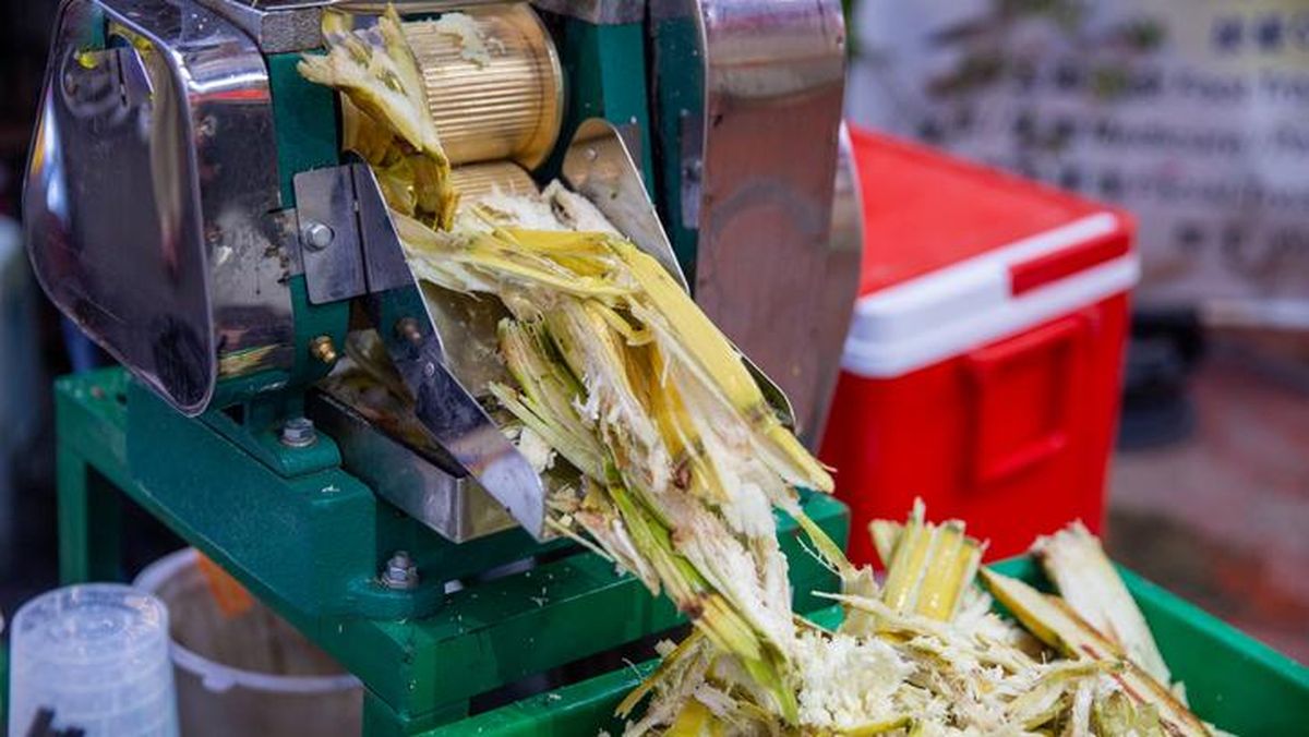 Ilustrasi berita Bisnis: China Olah Tebu Jadi Minuman Fermentasi hingga Alat Makan
