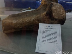 Video: Mengenal 5 Bangunan di Indramayu yang Jadi Cagar Budaya