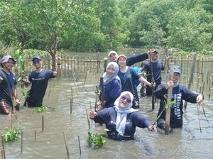 Paragonian Bergerak 2025 Tanam 3.500 Mangrove di Desa Tanjung Burung