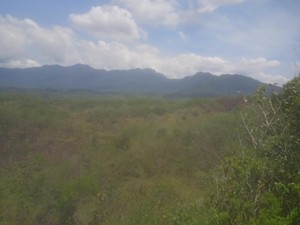 Warga Ulayat Tolak Penjualan Lahan Bekas Proyek Kebun PBB di Manggarai Barat
