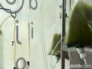 Viral Minuman Matcha Infus di Bali, Pihak Kafe Buka Suara