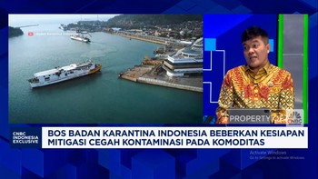 Video:Badan Karantina Musnahkan 1.900 Produk Tak Lolos Syarat Masuk RI