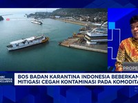 Video:Badan Karantina Musnahkan 1.900 Produk Tak Lolos Syarat Masuk RI