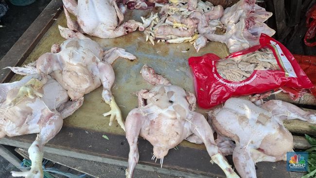 Harga Daging Ayam Sudah Sebulan Naik Terus, Lampaui Saat Lebaran