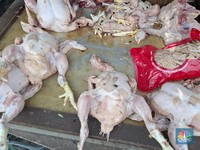 Harga Daging Ayam Sudah Sebulan Naik Terus, Lampaui Saat Lebaran
