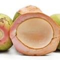 Deretan Kelapa Premium RI: Pohon