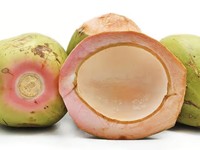 Deretan Kelapa Premium RI: Pohon 