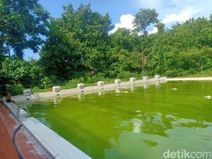 Kolam Renang KONI Manado Tak Dikuras Sejak 1999 tapi Masih Dipakai Atlet