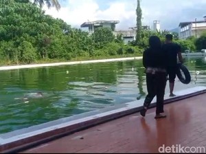 Video: Kolam Renang KONI Manado Tak Dikuras Sejak 1999