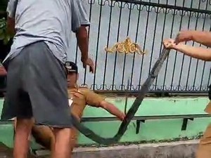 Aksi Nekat Warga Medan Dorong Lurah hingga Masuk Parit gegara Polisi Tidur