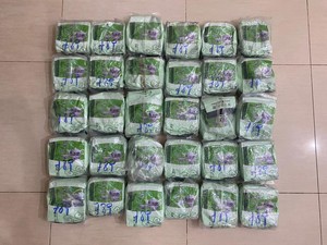 Polda Riau Gagalkan Penyelundupan 30 Kg Sabu di Pelabuhan Roro Dumai