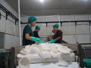 543 Ribu Kg Santan Kelapa Asal Sumsel Diterbangkan ke China dan Hongkong