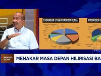Video: Menakar Masa Depan Hilirisasi Bauksit di Tanah Air