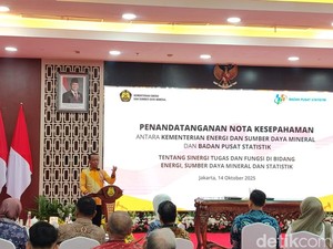 Penyaluran Subsidi BBM, LPG, dan Listrik Bakal Pakai Data BPS