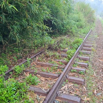 Rel KA Mati Ini Mau Dihidupkan Dedi Mulyadi, Bogor-Bandung Sejengkal