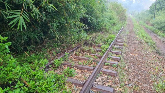 Rel KA Mati Ini Mau Dihidupkan Dedi Mulyadi, Bogor-Bandung Sejengkal