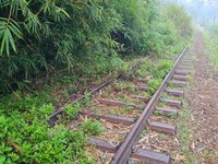 Jalur KA Mati Ini Mau Hidup Lagi, Bogor-Bandung Bisa Secepat Kilat