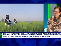 Video: RI Tak Lagi Impor Benih Padi Cs, Swasembada Pangan Kian Nyata?