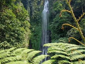 Air Terjun Putuk Truno Prigen, Keindahan Alam yang Bikin Adem Jiwa