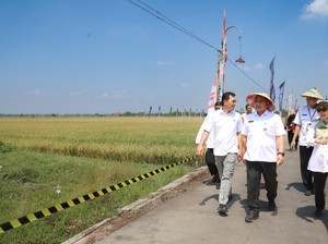 Sinergi Pemprov dan Swasta Dorong Potensi Demak Jadi Lumbung Padi Jateng