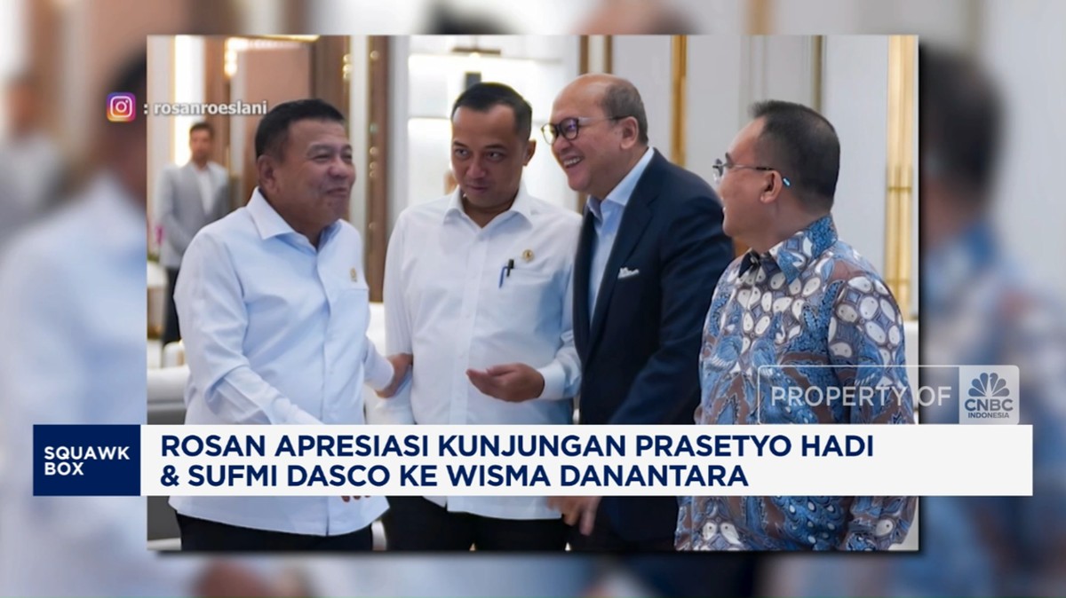 Video: Rosan Apresiasi Kunjungan Prasetyo Hadi dan Dasco ke Danantara