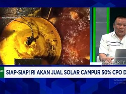 Video: Solar Campur 50% CPO Dijual di 2026, Bos Sawit Minta Hati-hati